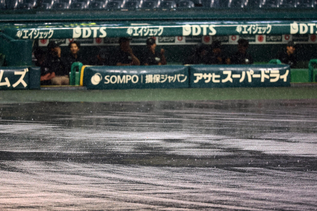 阪神対ヤクルト　水たまりからはねが上がる強めの雨が降る甲子園球場（撮影・加藤哉）