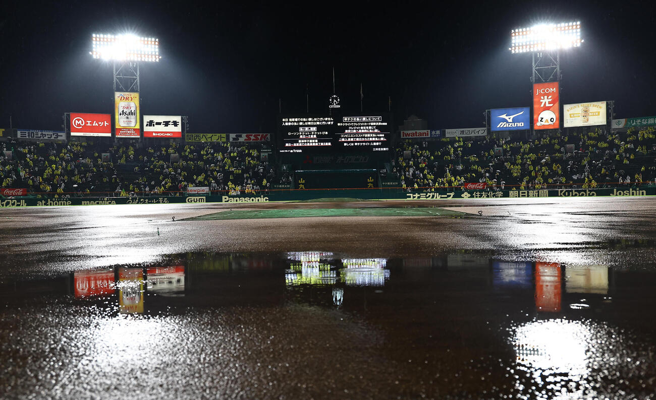 阪神対ヤクルト　雨が降り続き中止となった（撮影・上田博志）