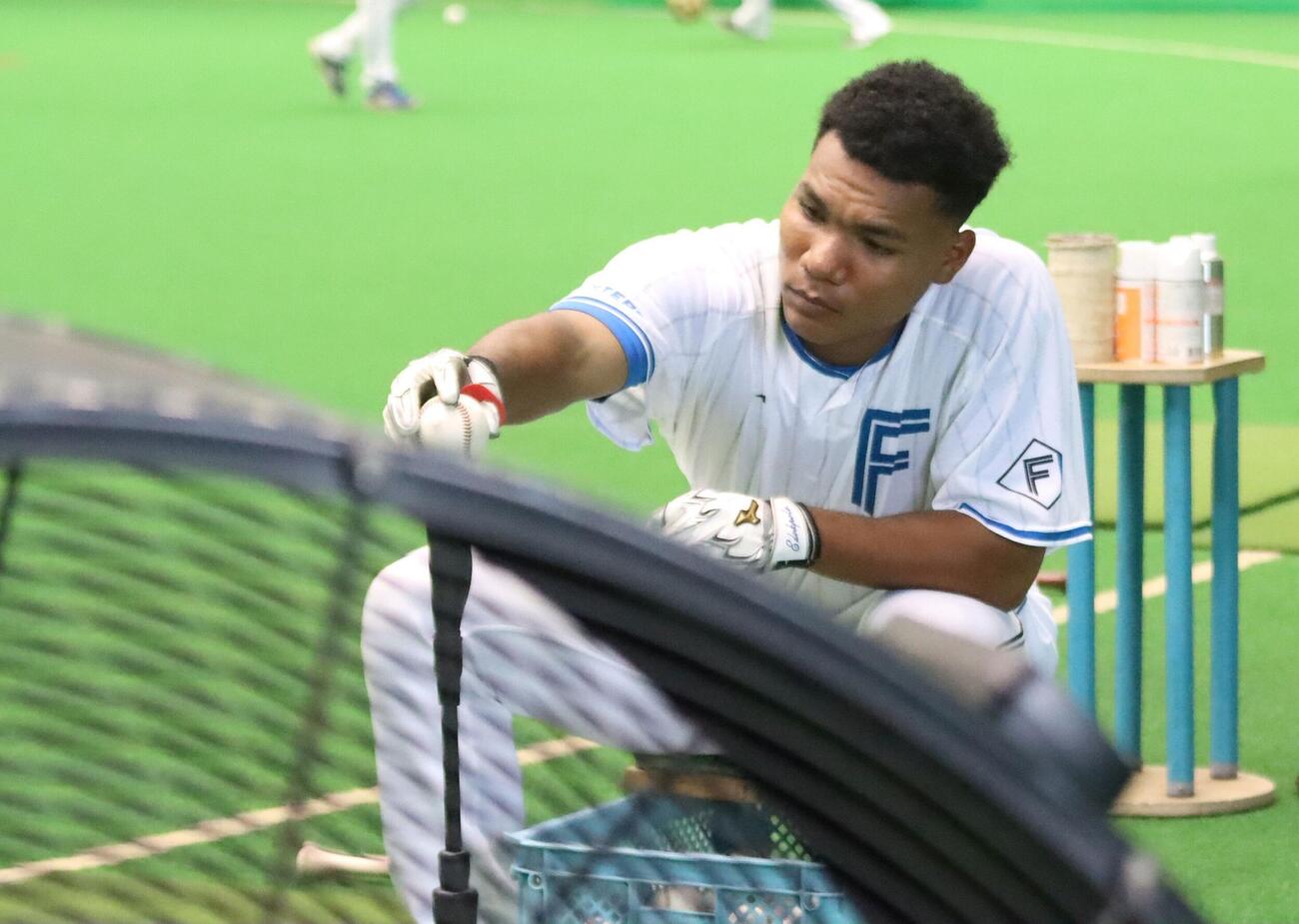 ティー打撃を手伝う日本ハム・エドポロ