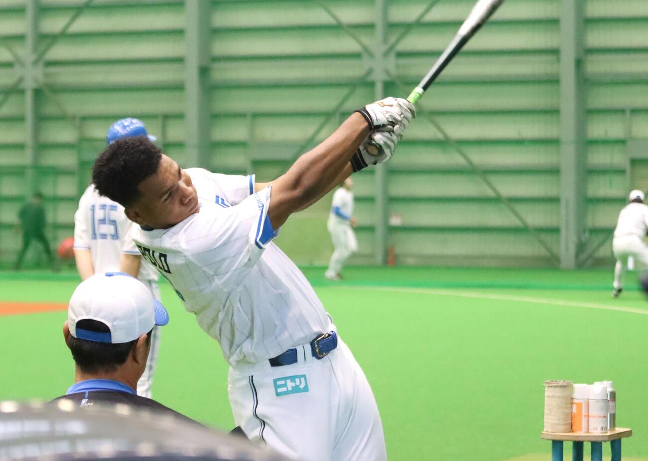 ティー打撃に励む日本ハム・エドポロ