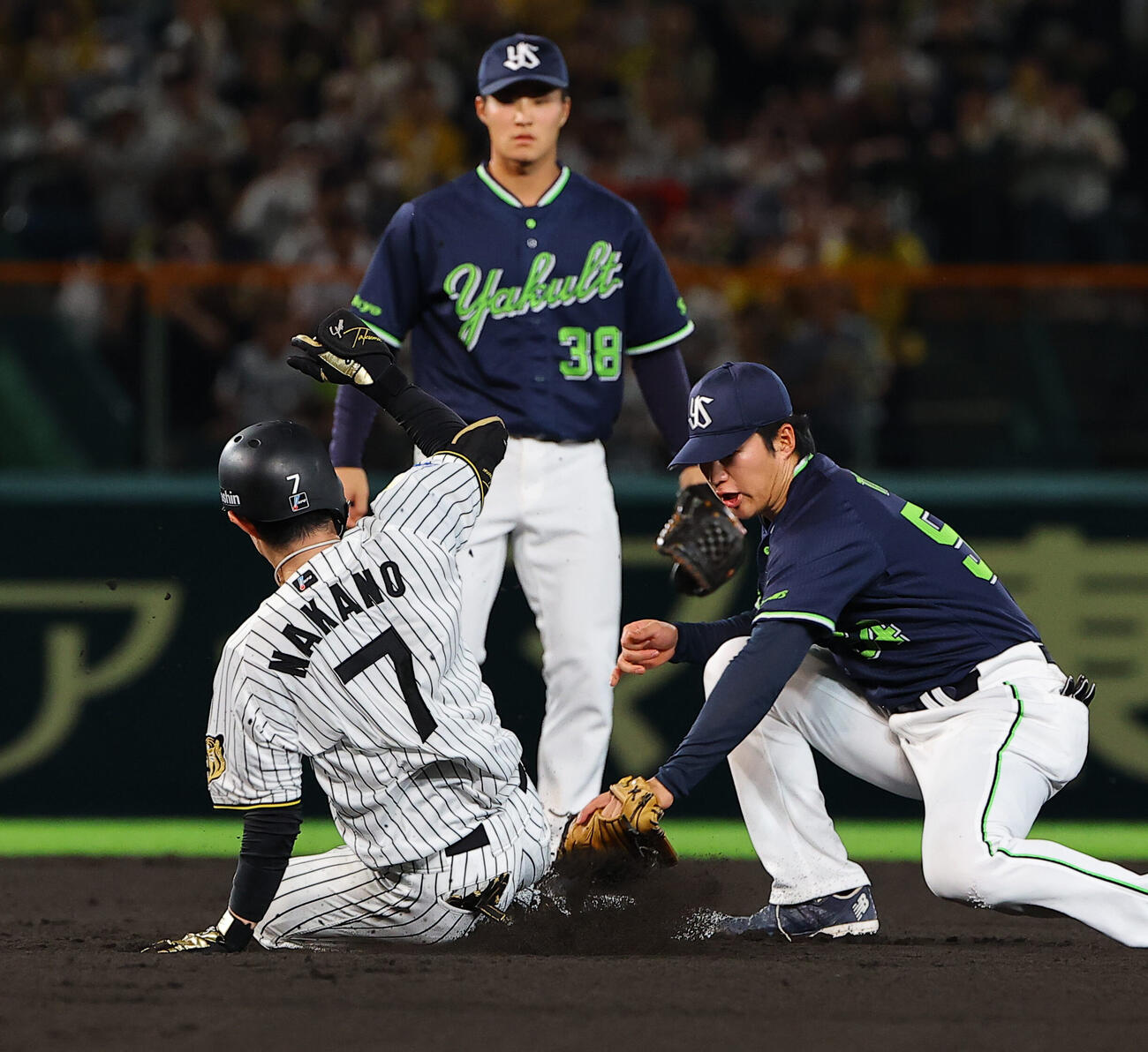 阪神対ヤクルト　1回裏阪神1死、中野拓夢は西村瑠伊斗の返球がそれる間に二塁を狙うも憤死する（撮影・上田博志）