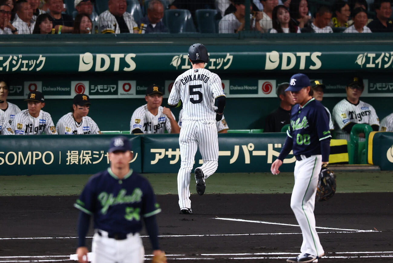阪神対ヤクルト　1回裏阪神無死一塁、けん制球でアウトになった近本光司（撮影・加藤哉）