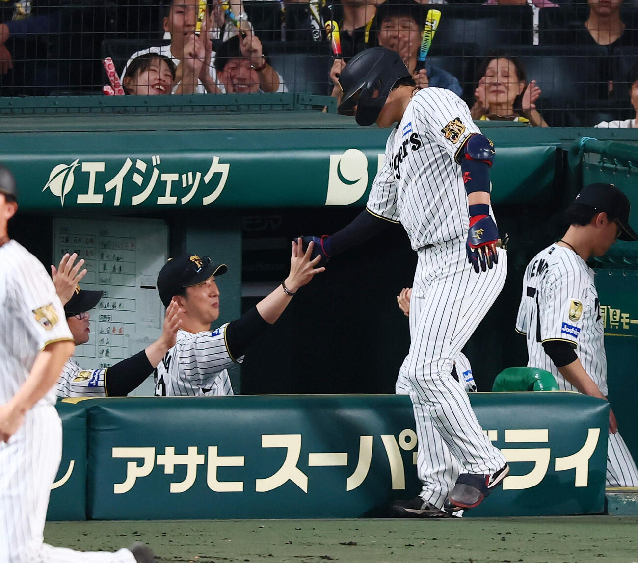 阪神対ヤクルト　2回裏阪神1死、藤川球児監督は左中間越えソロ本塁打を放った大山悠輔（右）とベンチでタッチする（撮影・加藤哉）