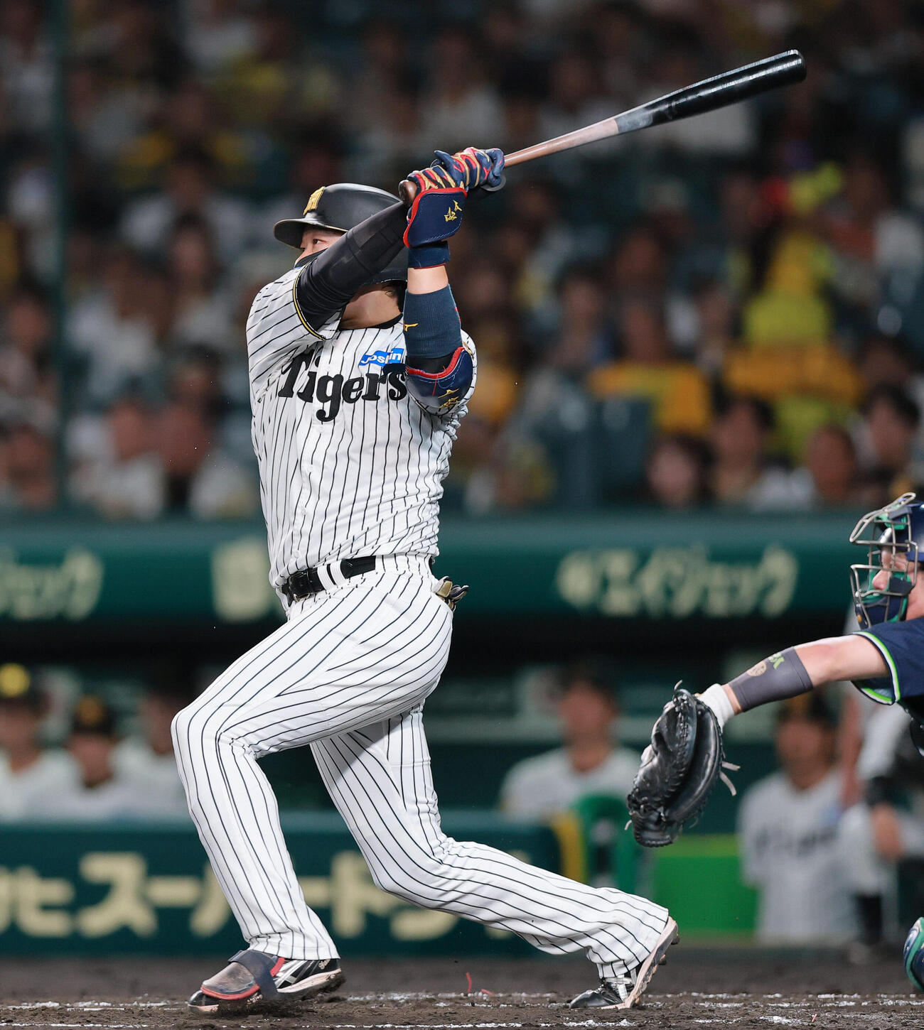阪神対ヤクルト　2回裏阪神1死、大山悠輔はソロ本塁打を放つ（撮影・上山淳一）