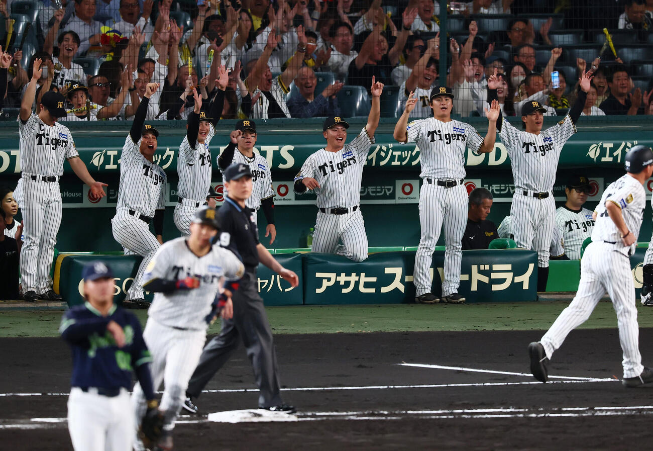 阪神対ヤクルト　2回裏阪神1死、大山悠輔の左中間越えソロ本塁打にベンチで笑顔を見せるナイン（撮影・加藤哉）