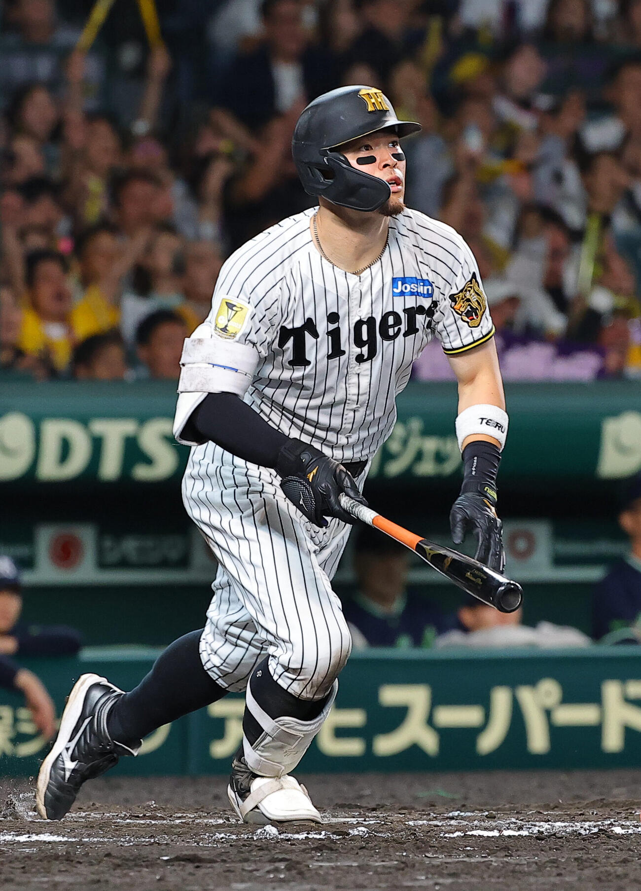 阪神対ヤクルト　8回裏阪神1死一塁、佐藤輝明は2点本塁打を放つ（撮影・上田博志）