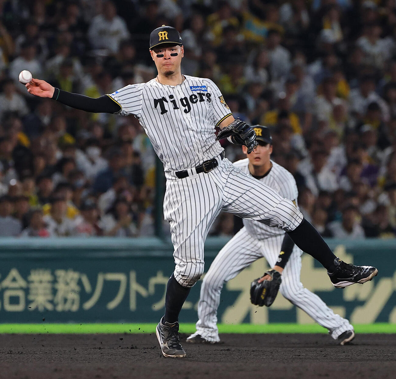 阪神対ヤクルト　6回表ヤクルト2死二塁、佐藤輝明は西村瑠伊斗の三ゴロを軽快にさばく（撮影・上田博志）