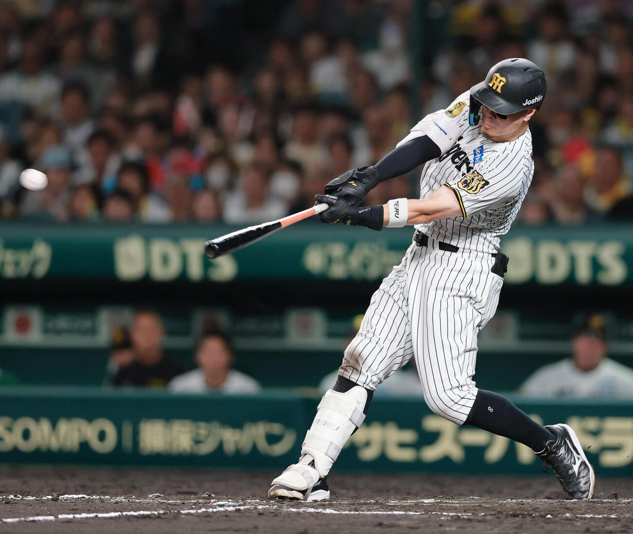 阪神対ヤクルト　8回裏阪神1死一塁、佐藤輝明は2点本塁打を放つ（撮影・上山淳一）