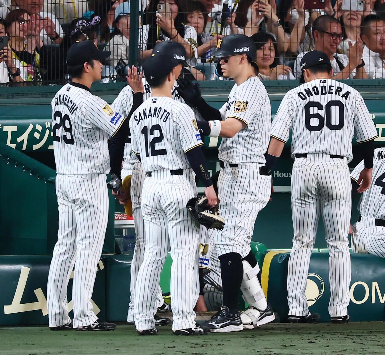 阪神対ヤクルト　8回裏阪神1死一塁、佐藤輝明は右越え2点本塁打を放ちベンチ前の高橋遥人（左）らナインとタッチする（撮影・加藤哉）