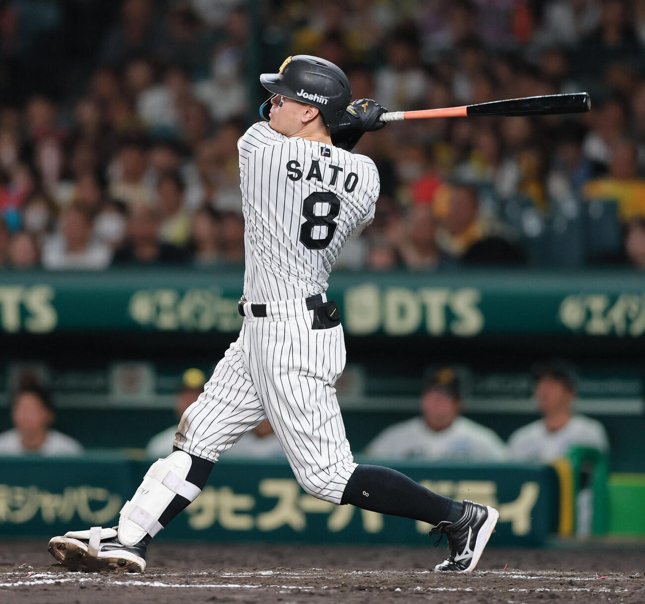 阪神対ヤクルト　8回裏阪神1死一塁、佐藤輝明は2点本塁打を放つ（撮影・上山淳一）
