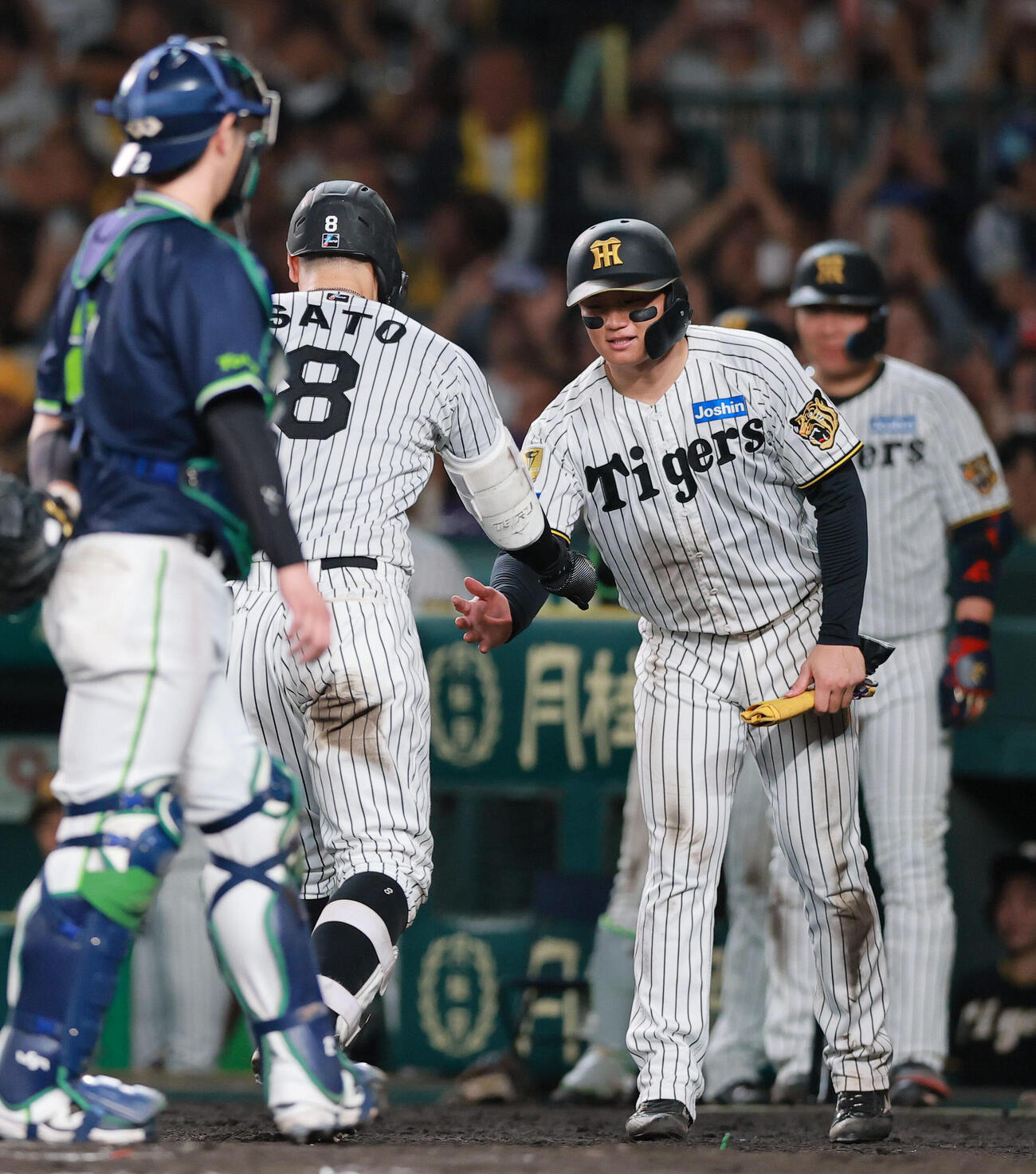 阪神対ヤクルト　8回裏阪神1死一塁、佐藤輝明（手前）は2点本塁打を放ち、出迎える一走森下翔太とタッチをかわす（撮影・上山淳一）