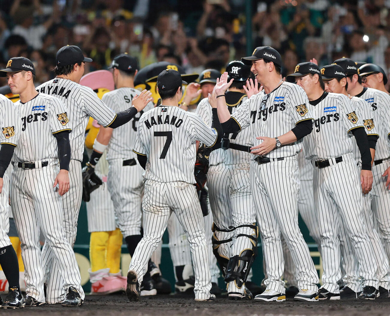 阪神対ヤクルト　ヤクルトに勝利した藤川球児監督はベンチ前でナインとタッチをかわす（撮影・上山淳一）