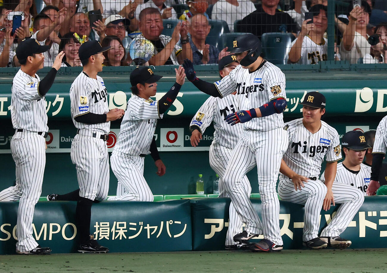 阪神対ヤクルト　2回裏阪神1死、大山悠輔は左中間越えソロ本塁打を放ちベンチでナインとタッチする（撮影・加藤哉）