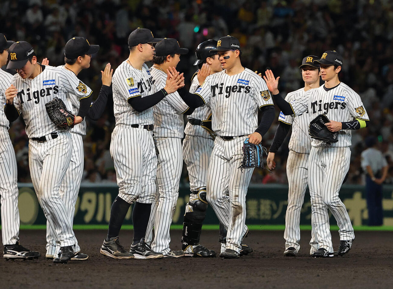 阪神対ヤクルト　ハイタッチして勝利を喜ぶ佐藤輝明（中央左）と森下翔太（撮影・上田博志）