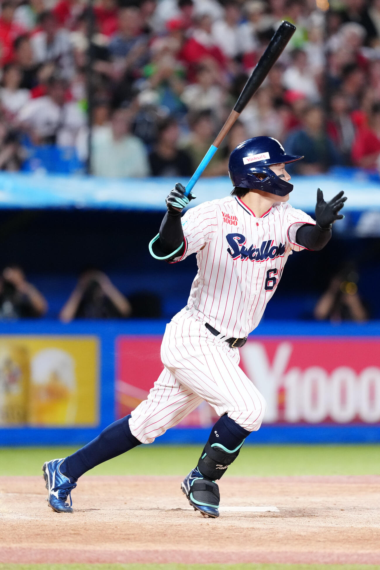 ヤクルト武岡龍世（2026年8月撮影）