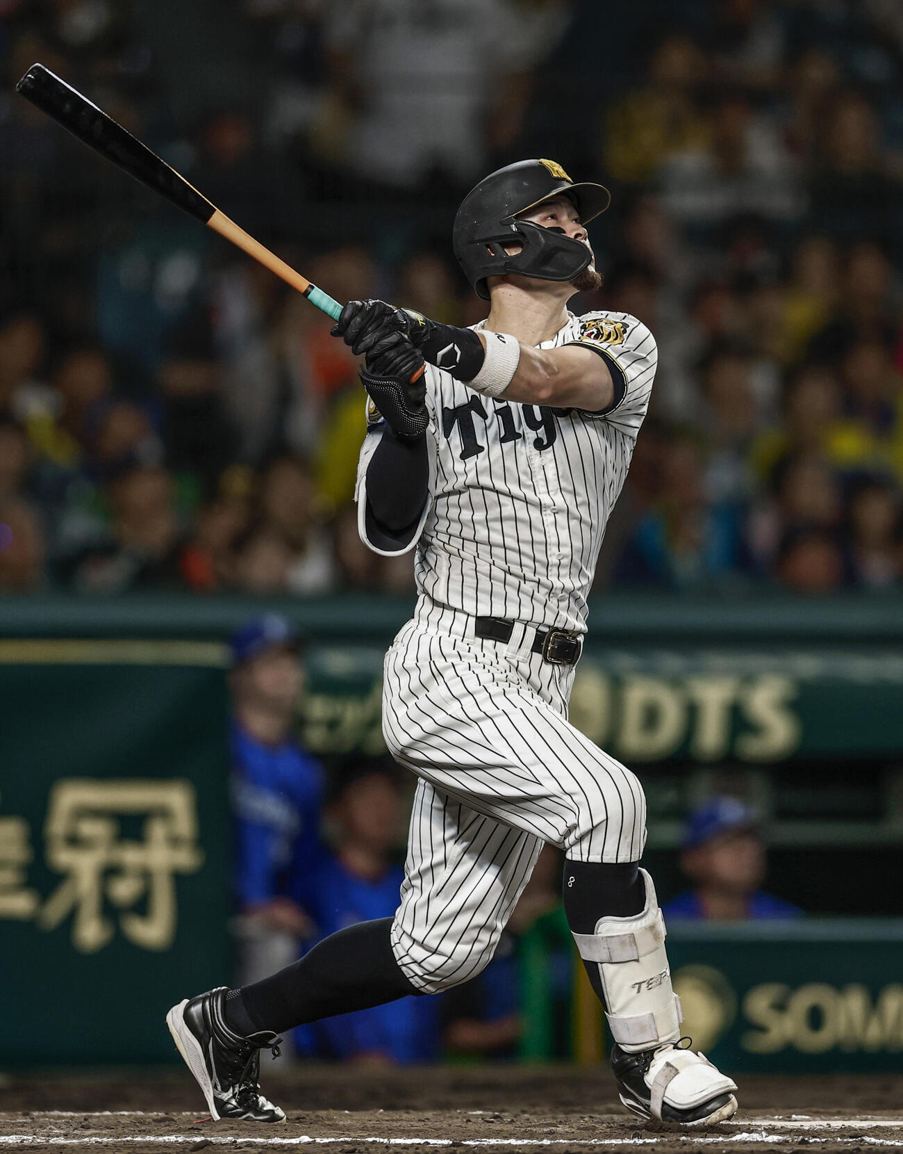 9月6日のDeNA戦で本塁打を放つ阪神・佐藤＝甲子園