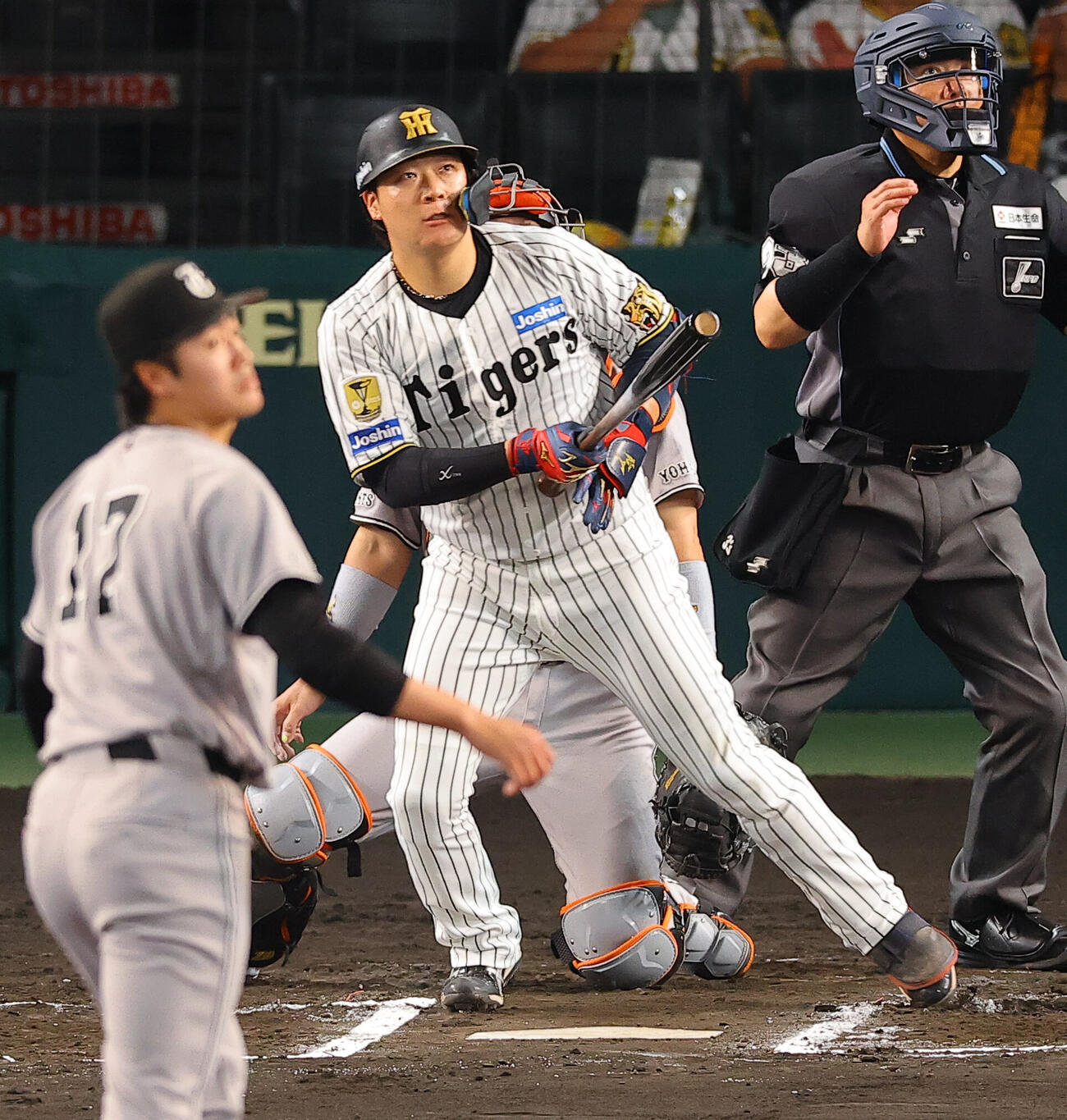 阪神対巨人　6回裏阪神無死、大山悠輔は同点本塁打を放つ（撮影・上田博志）