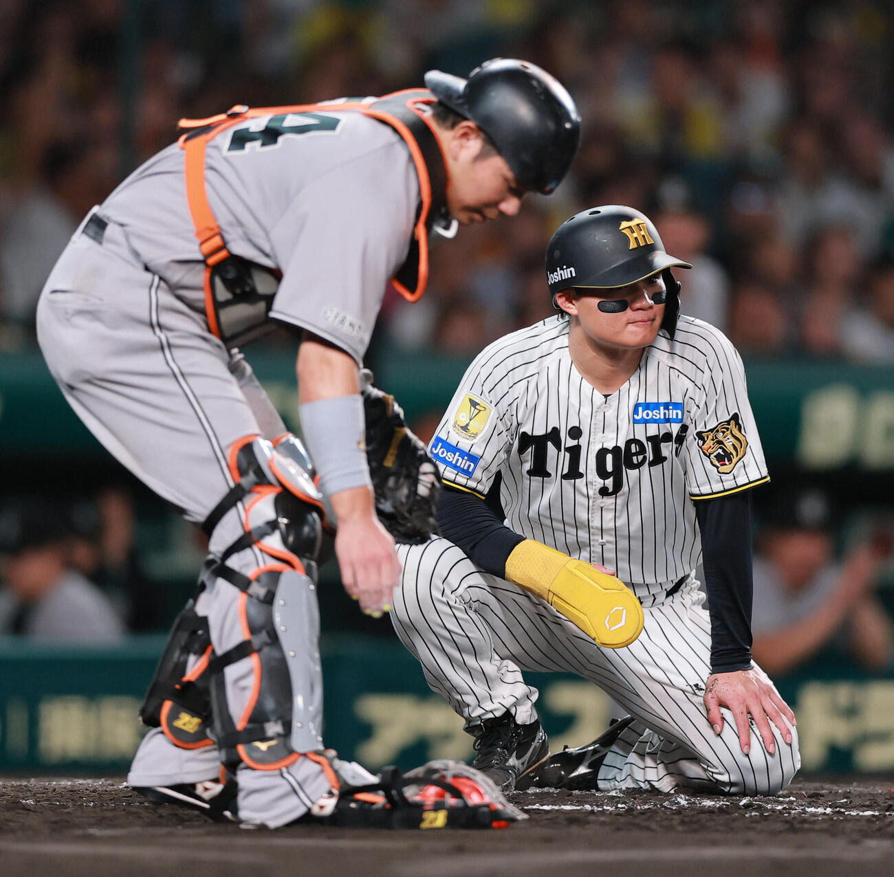 阪神対巨人　3回裏阪神1死二、三塁、三走森下翔太（右）は大山悠輔の左飛で本塁突入もアウトとなる。捕手大城卓三（撮影・上山淳一）