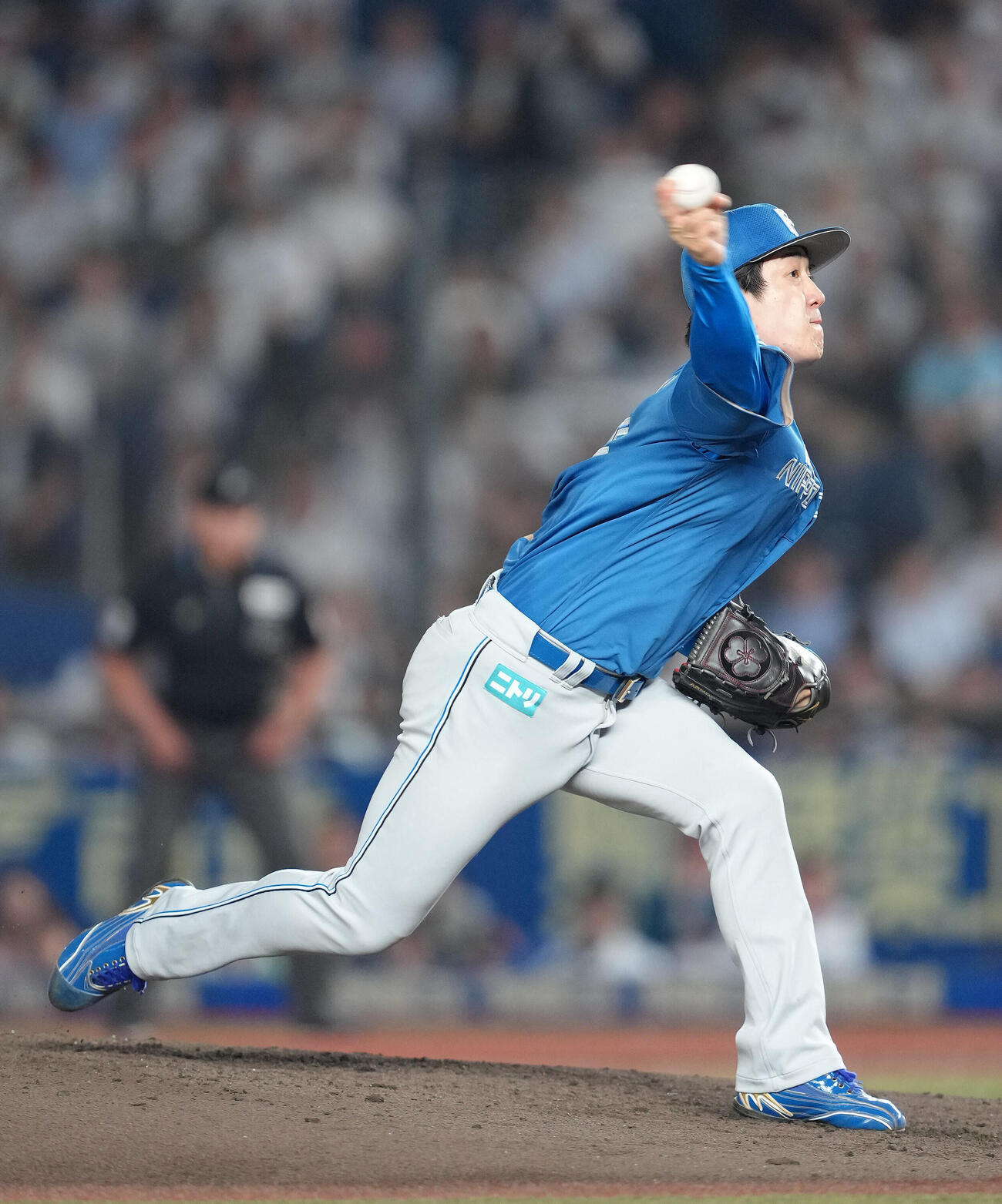 ロッテ対日本ハム　5回無失点で13勝目を挙げた日本ハム北山亘基（撮影・足立雅史）
