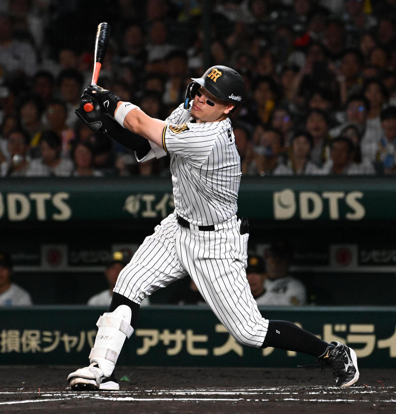 阪神対巨人　1回裏阪神無死満塁、佐藤輝明は見逃し三振に終わる（撮影・石井愛子）