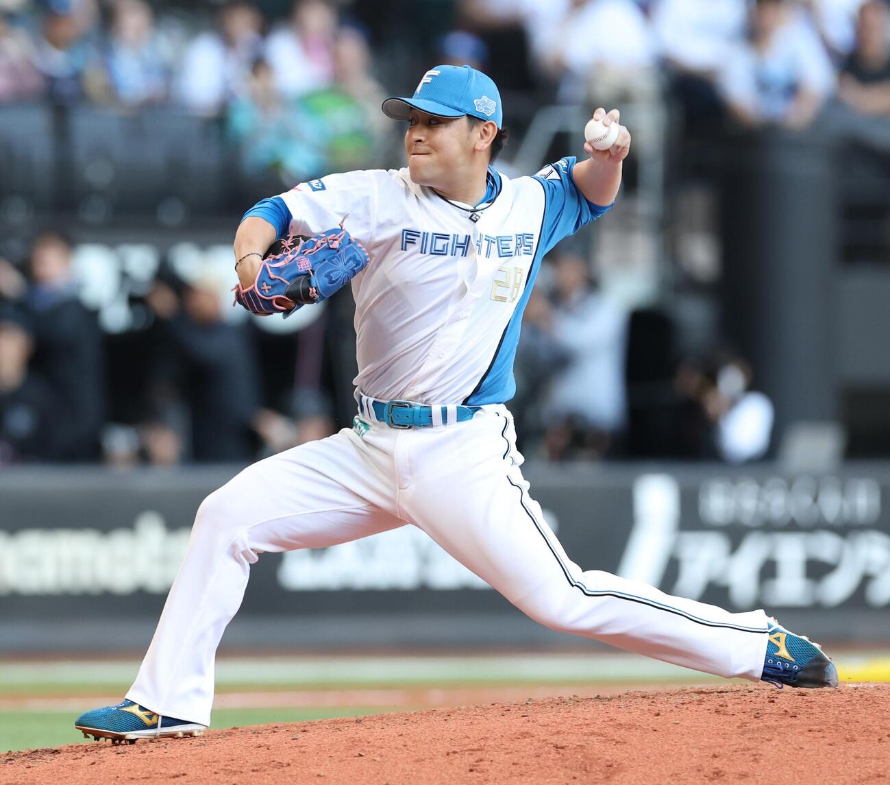 日本ハム河野竜生（2026年6月撮影）