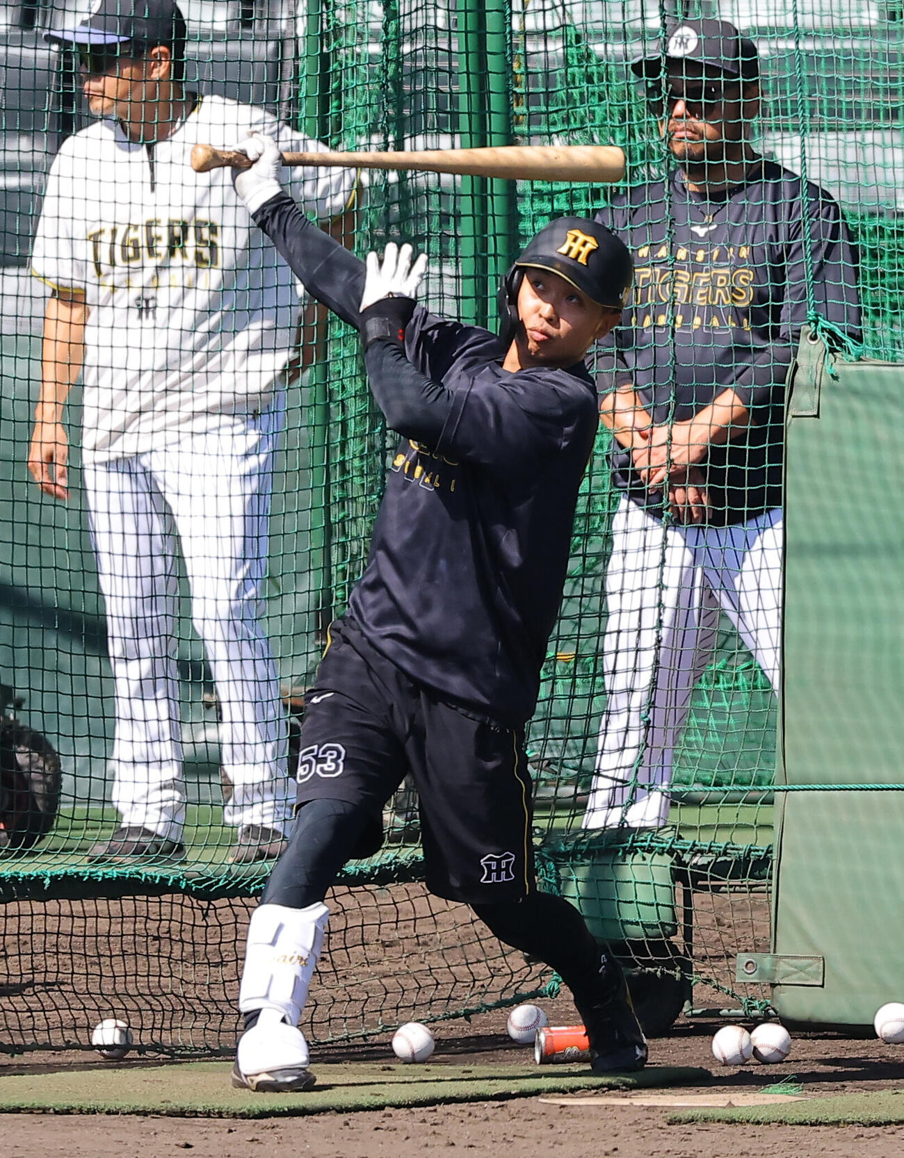 フリー打撃練習をする島田海吏（撮影・上田博志）