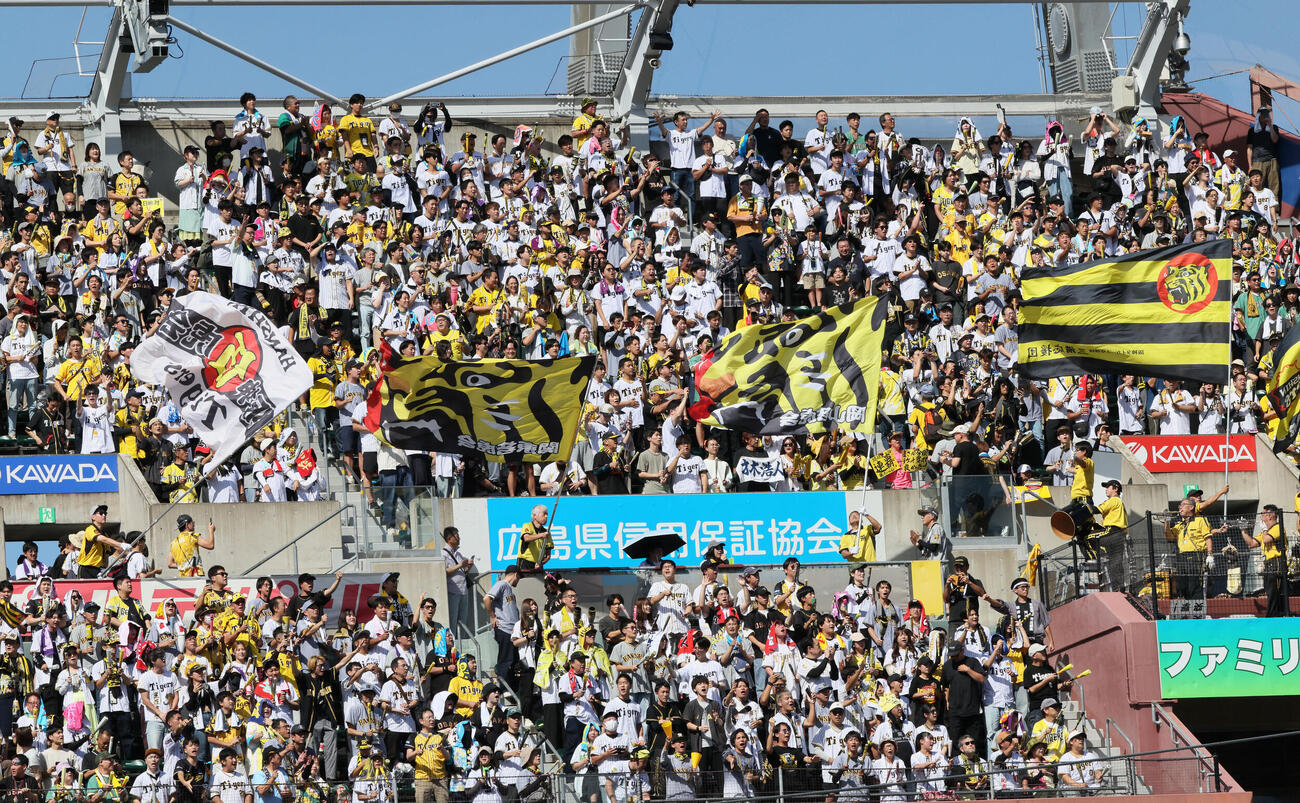 広島対阪神　試合前、応援する阪神ファン（撮影・加藤孝規）