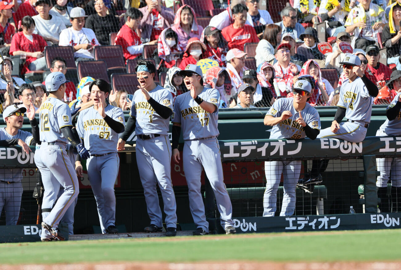 広島対阪神　3回表阪神無死、同点の左越え本塁打を放った坂本誠志郎を迎えるチームメート（撮影・加藤孝規）