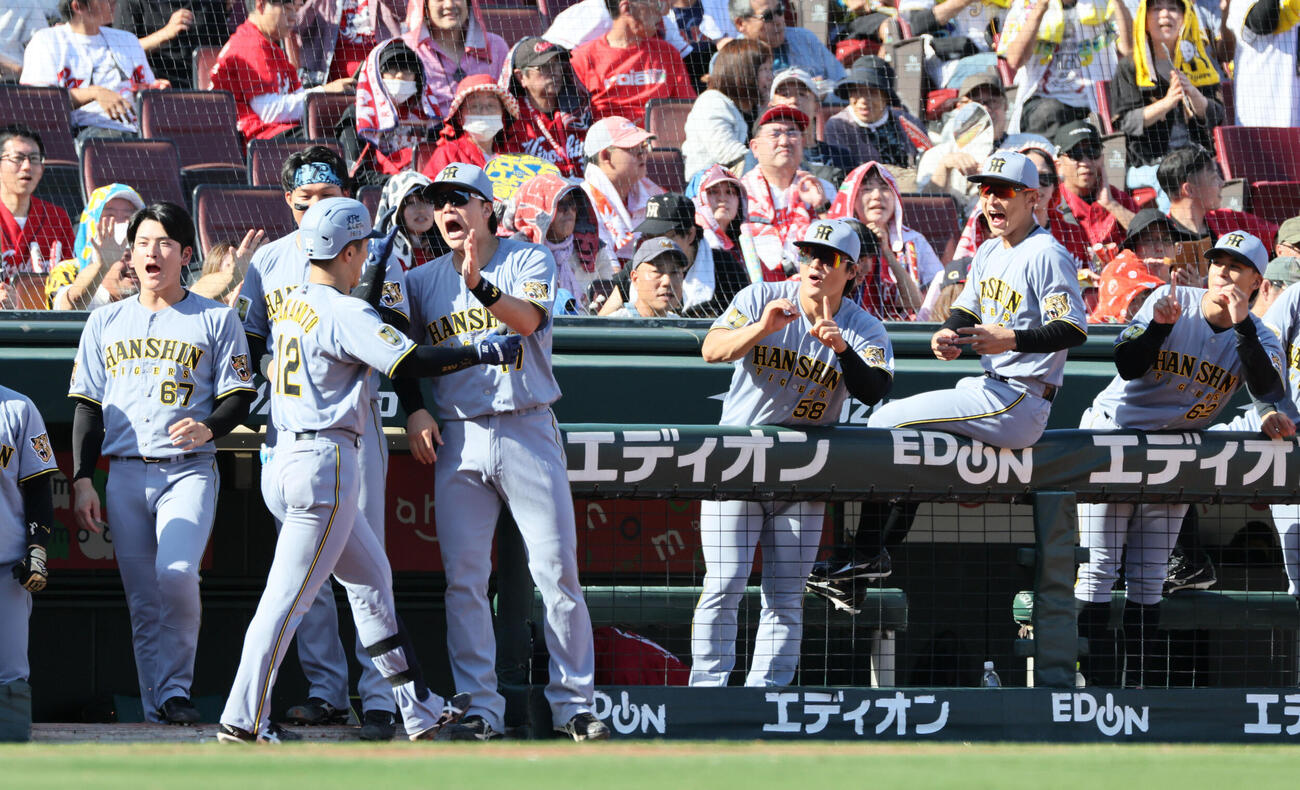 広島対阪神　3回表阪神無死、同点の左越え本塁打を放った坂本誠志郎を迎えるチームメート（撮影・加藤孝規）