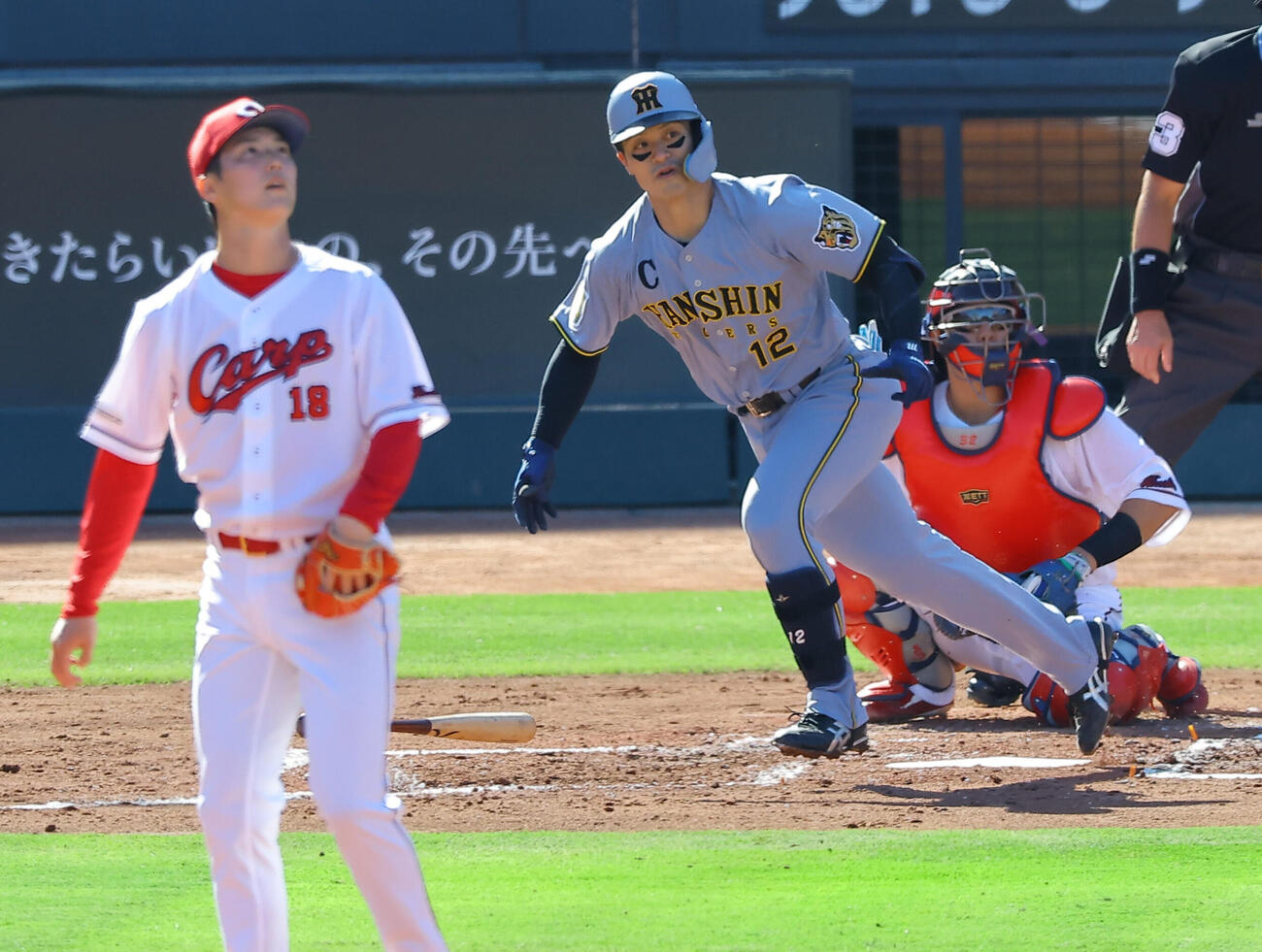 広島対阪神　3回表阪神無死、坂本誠志郎は同点本塁打を放つ（撮影・上田博志）