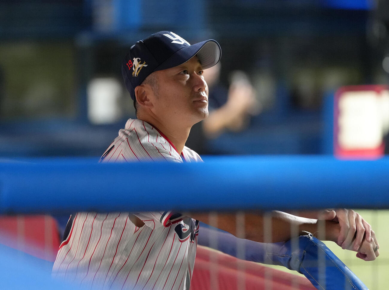 ヤクルト対中日　神宮の夜空に打ち上がった花火を見つめるヤクルト石川雅規（撮影・足立雅史）