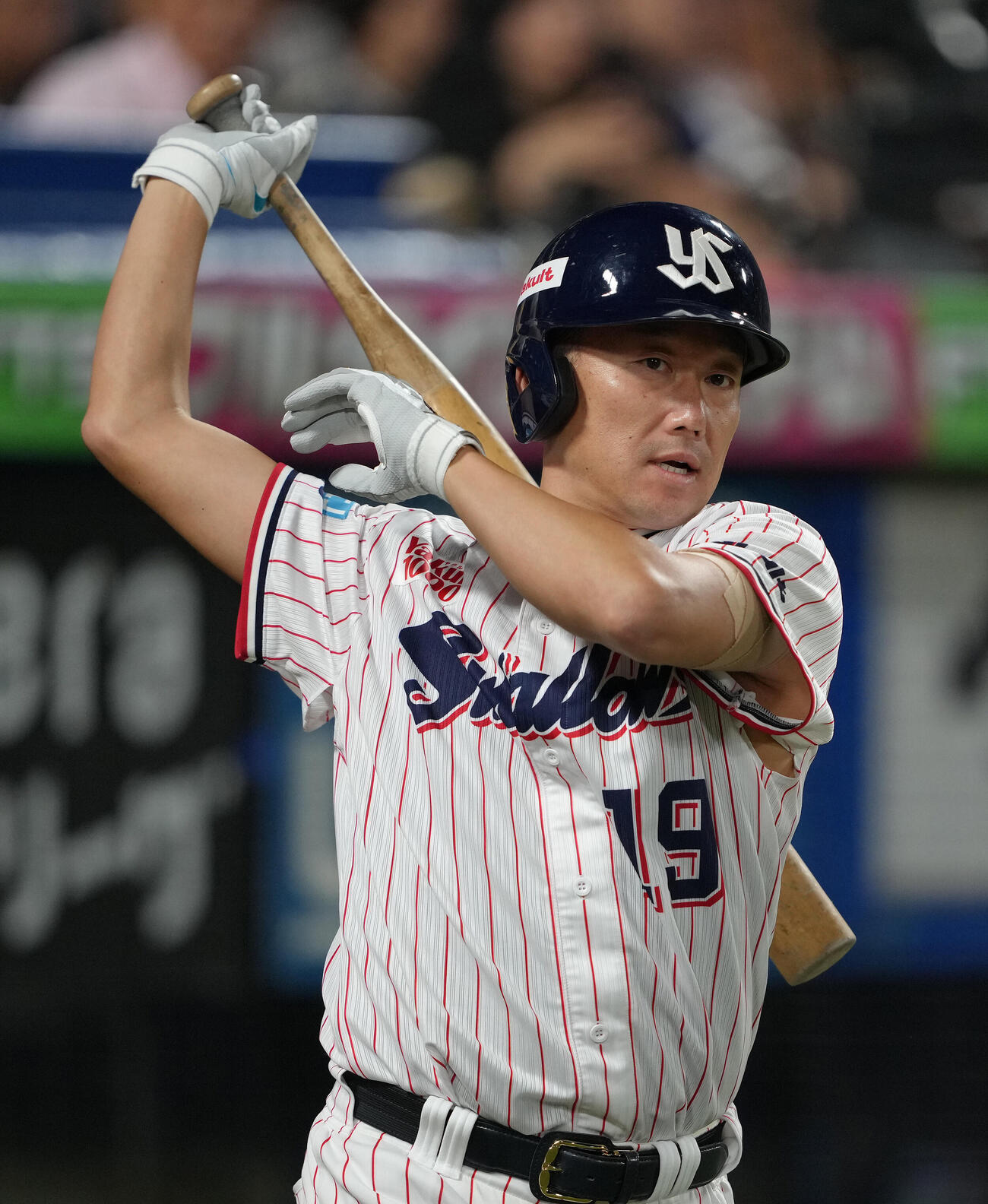 ヤクルト対中日　7回、打席への準備を進めるヤクルト石川雅規（撮影・足立雅史）