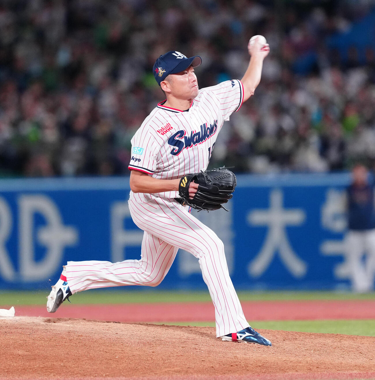 ヤクルト対中日　8回表から2番手で登板したヤクルト石川雅規（撮影・鈴木みどり）