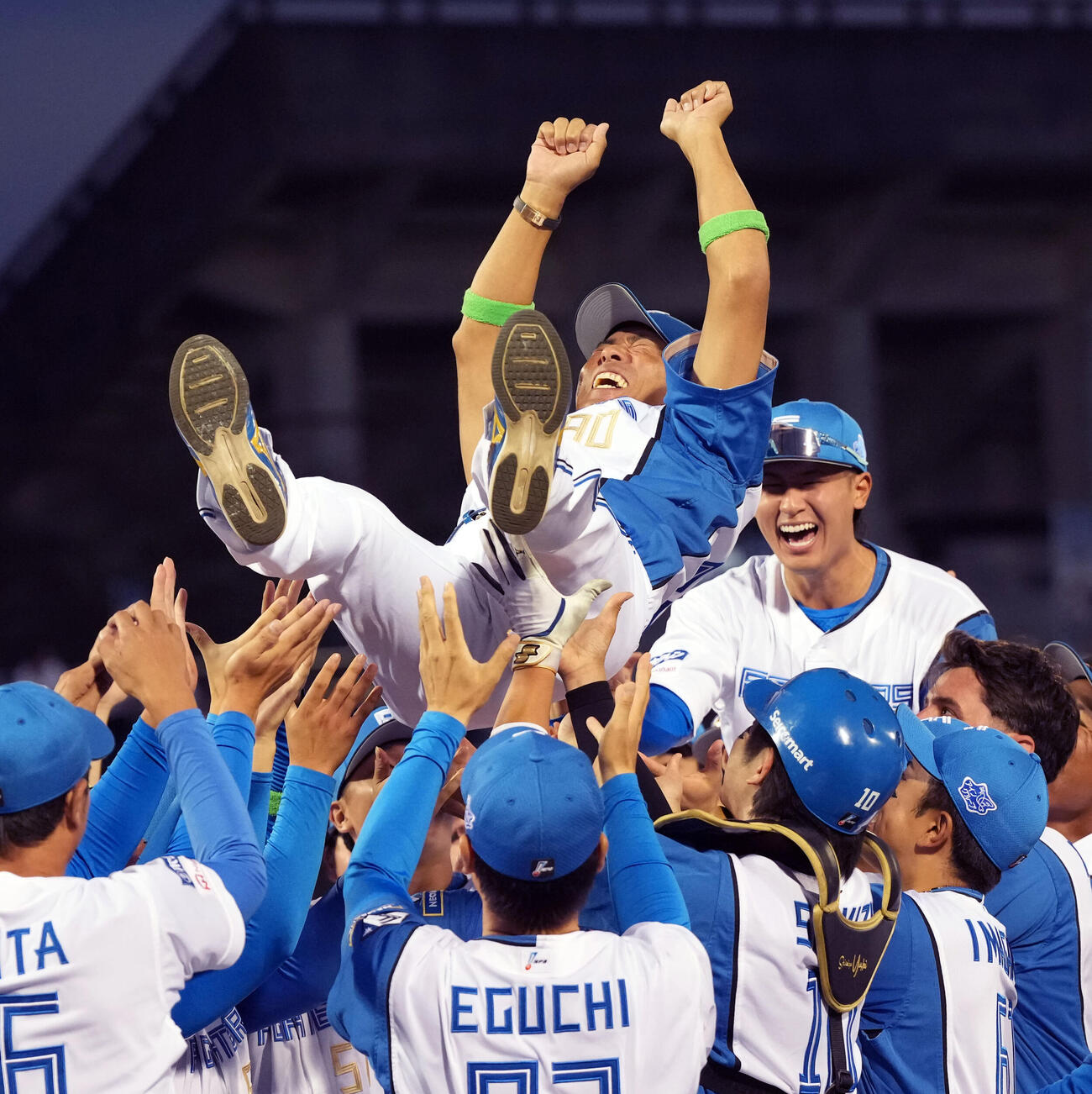 日本ハム対巨人　優勝を飾り胴上げされる日本ハム稲葉篤紀2軍監督（撮影・たえ見朱実）