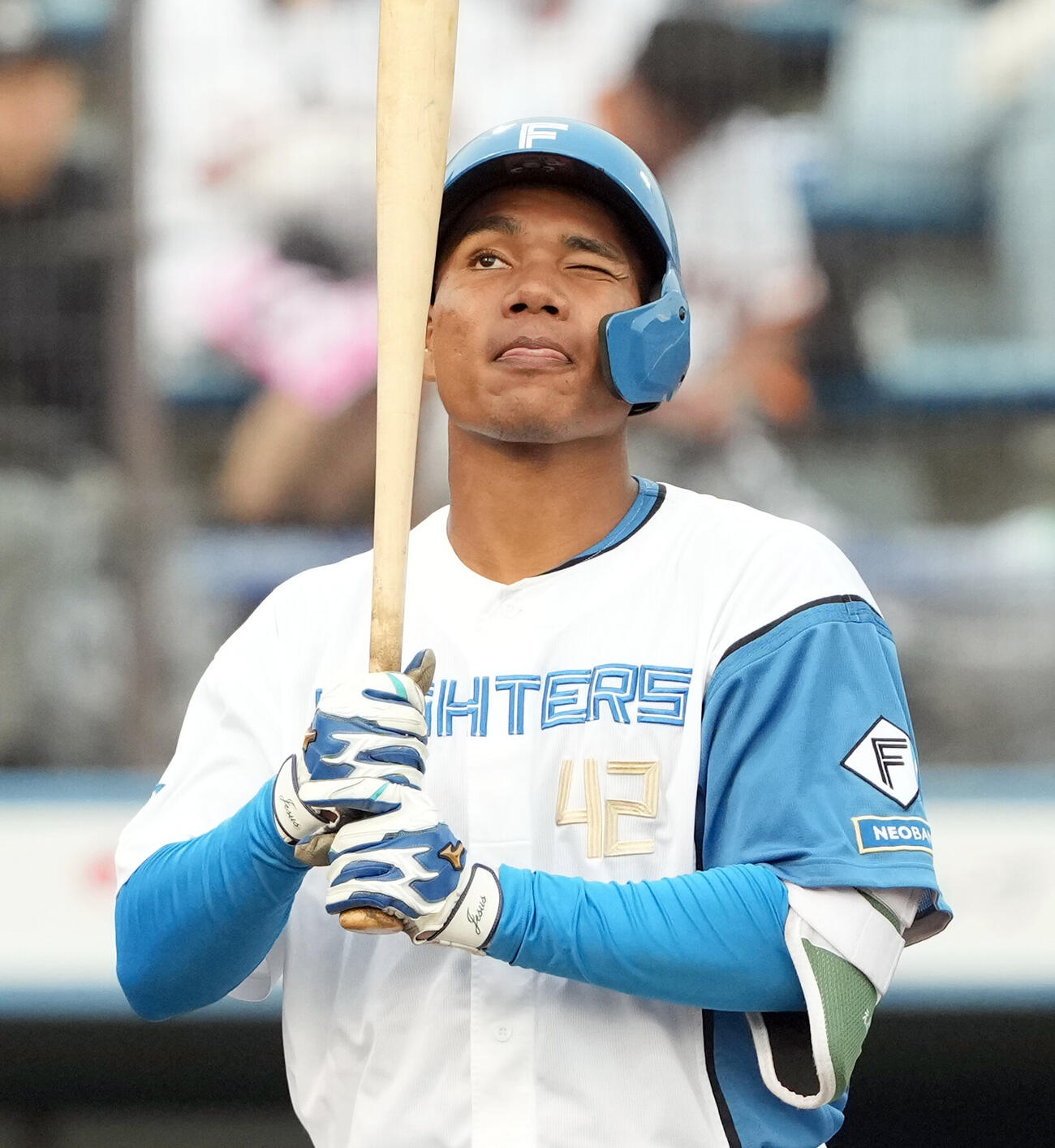 日本ハム対巨人　打席に立ち、バットを見る日本ハムエドポロ・ケイン（撮影・たえ見朱実）