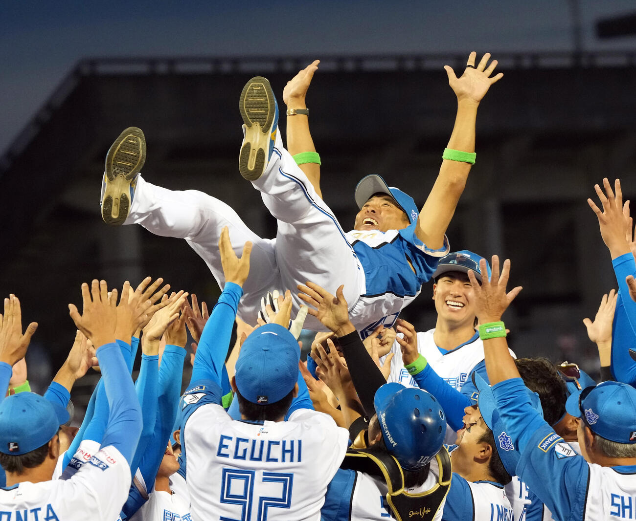 日本ハム対巨人　優勝を飾り胴上げされる日本ハム稲葉篤紀2軍監督（撮影・たえ見朱実）