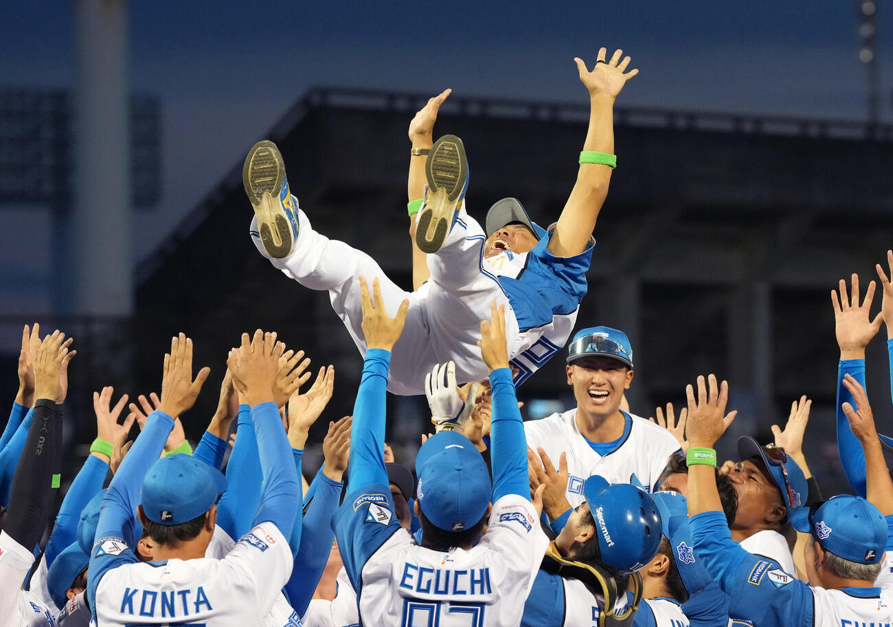日本ハム対巨人　優勝を飾り胴上げされる日本ハム稲葉篤紀2軍監督（撮影・たえ見朱実）