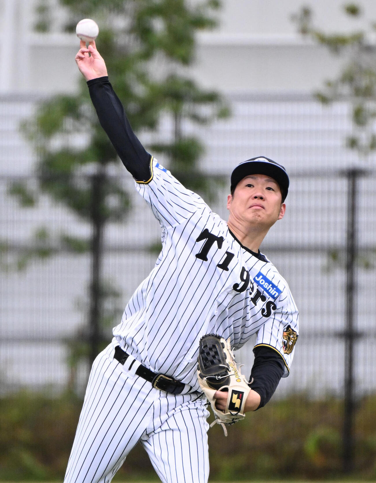 キャッチボールをする阪神西勇輝（撮影・石井愛子）