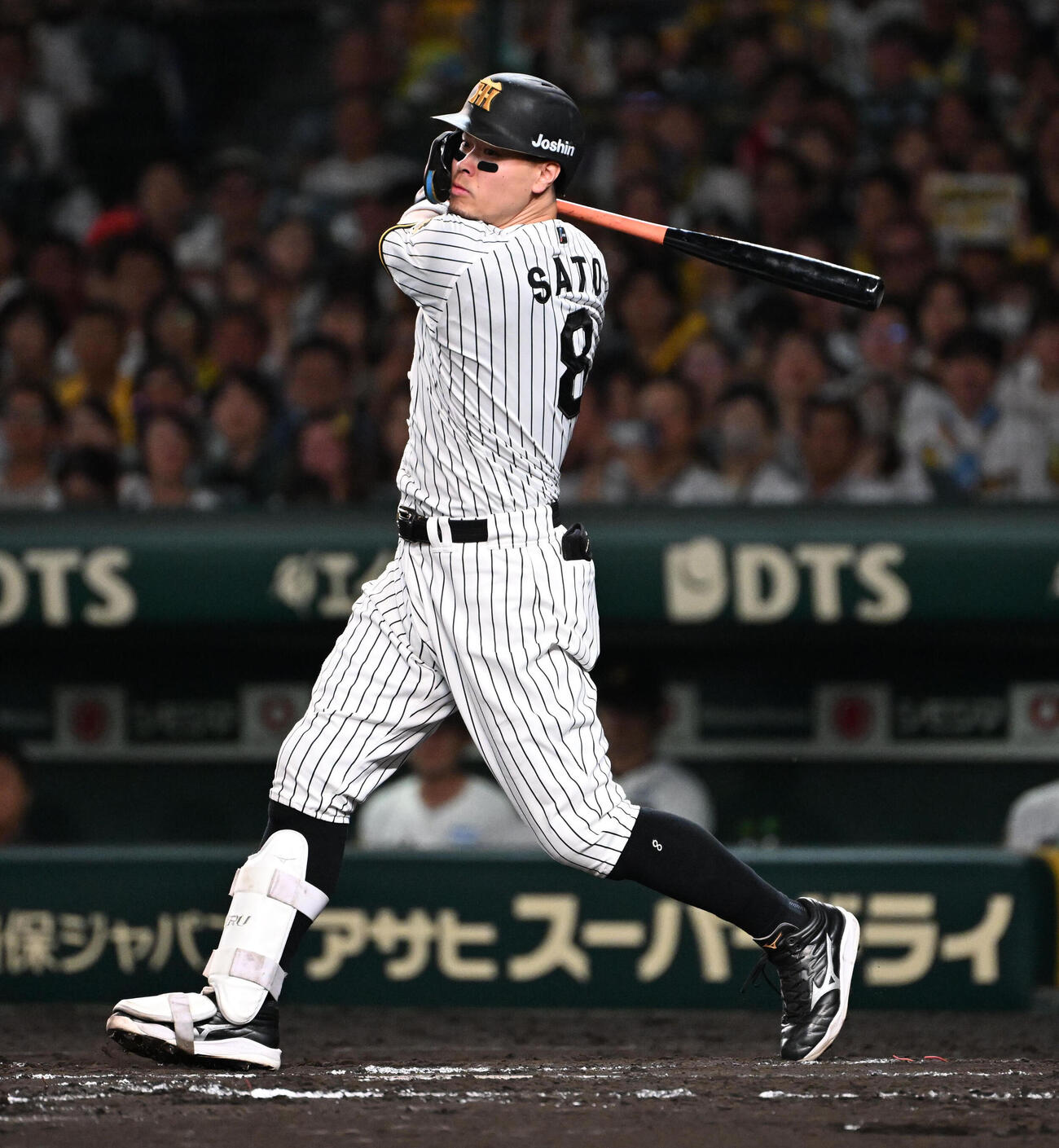 阪神佐藤輝明（2026年10月撮影）