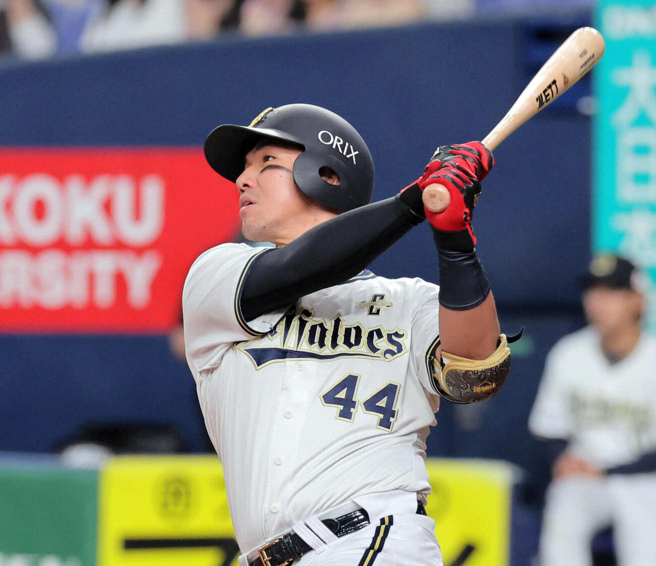 オリックス頓宮裕真（2025年撮影）