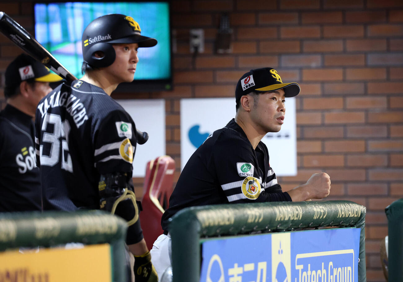 楽天対ソフトバンク　5回表ソフトバンクの攻撃中、ベンチから見つめる近藤健介（右）（撮影・浅見桂子）