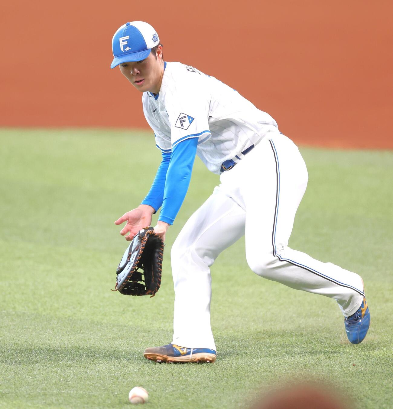 ノックを受ける日本ハム柴田獅子（撮影・黒川智章）