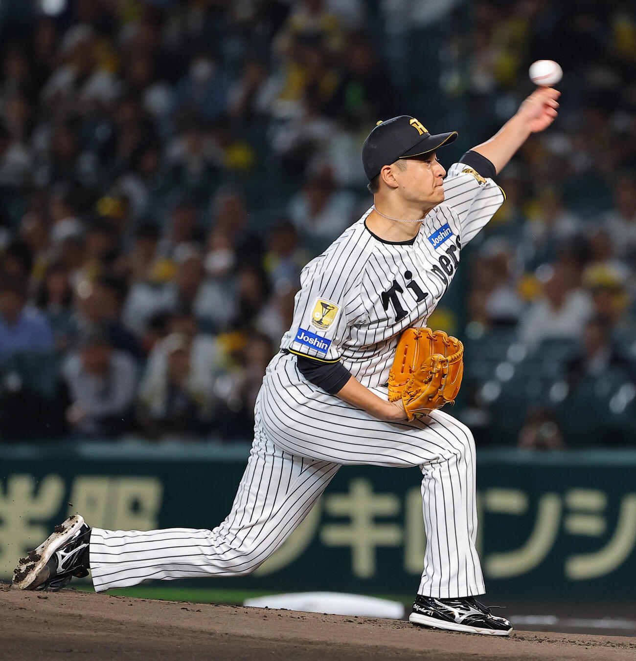 阪神対広島　阪神先発の大竹耕太郎（撮影・上田博志）