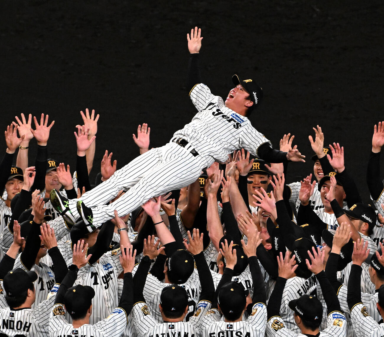 リーグ優勝を果たし胴上げされる阪神村上頌樹（撮影・石井愛子）