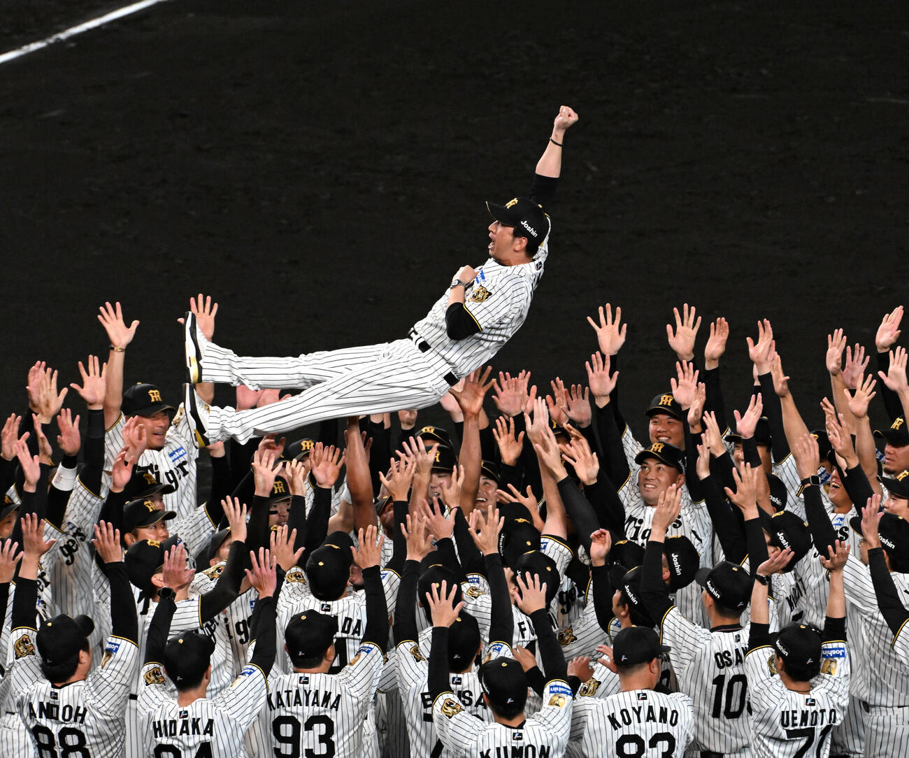 リーグ優勝を果たし胴上げされる阪神藤川球児監督（撮影・石井愛子）