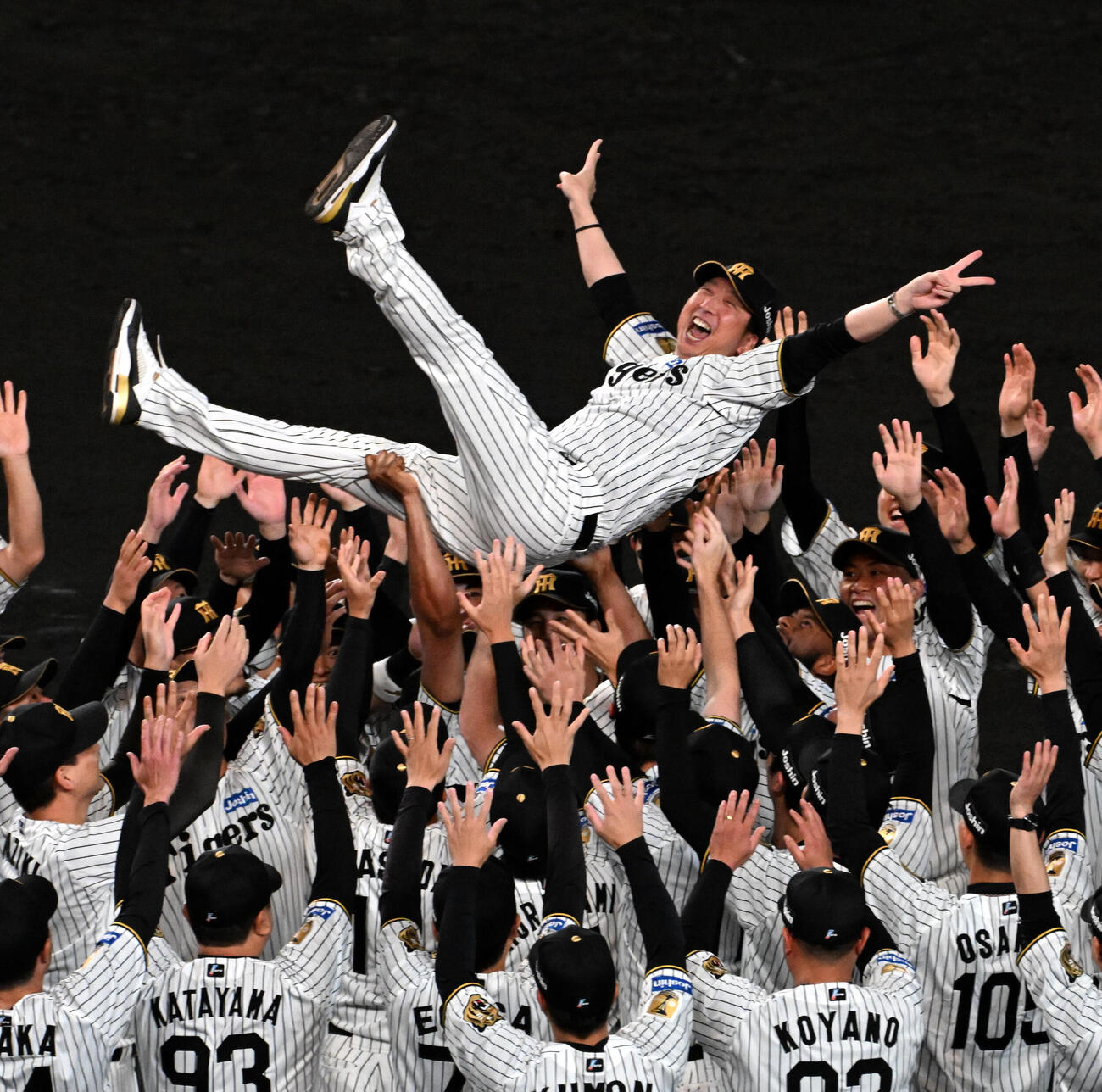 リーグ優勝を果たし胴上げされる阪神藤川球児監督（撮影・石井愛子）
