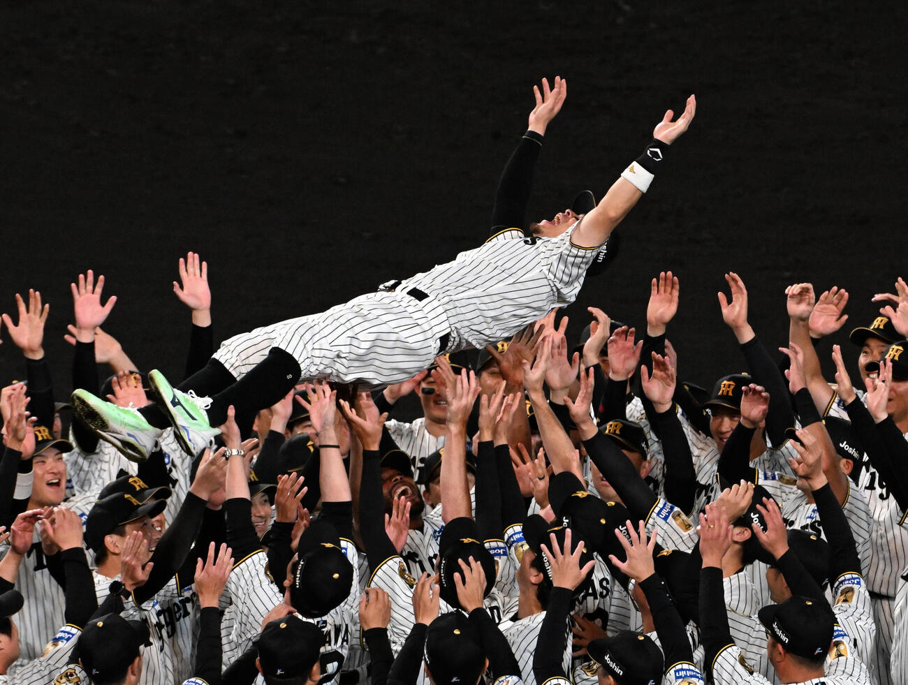 リーグ優勝を果たし胴上げされる阪神佐藤輝明（撮影・石井愛子）