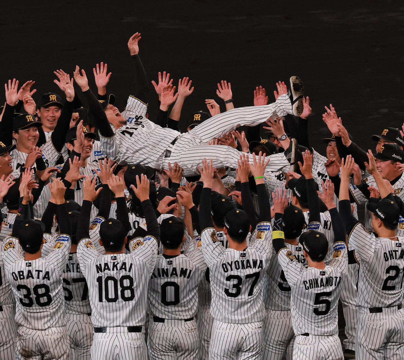 現役引退する阪神岩貞祐太はナインから胴上げされる（撮影・上山淳一）