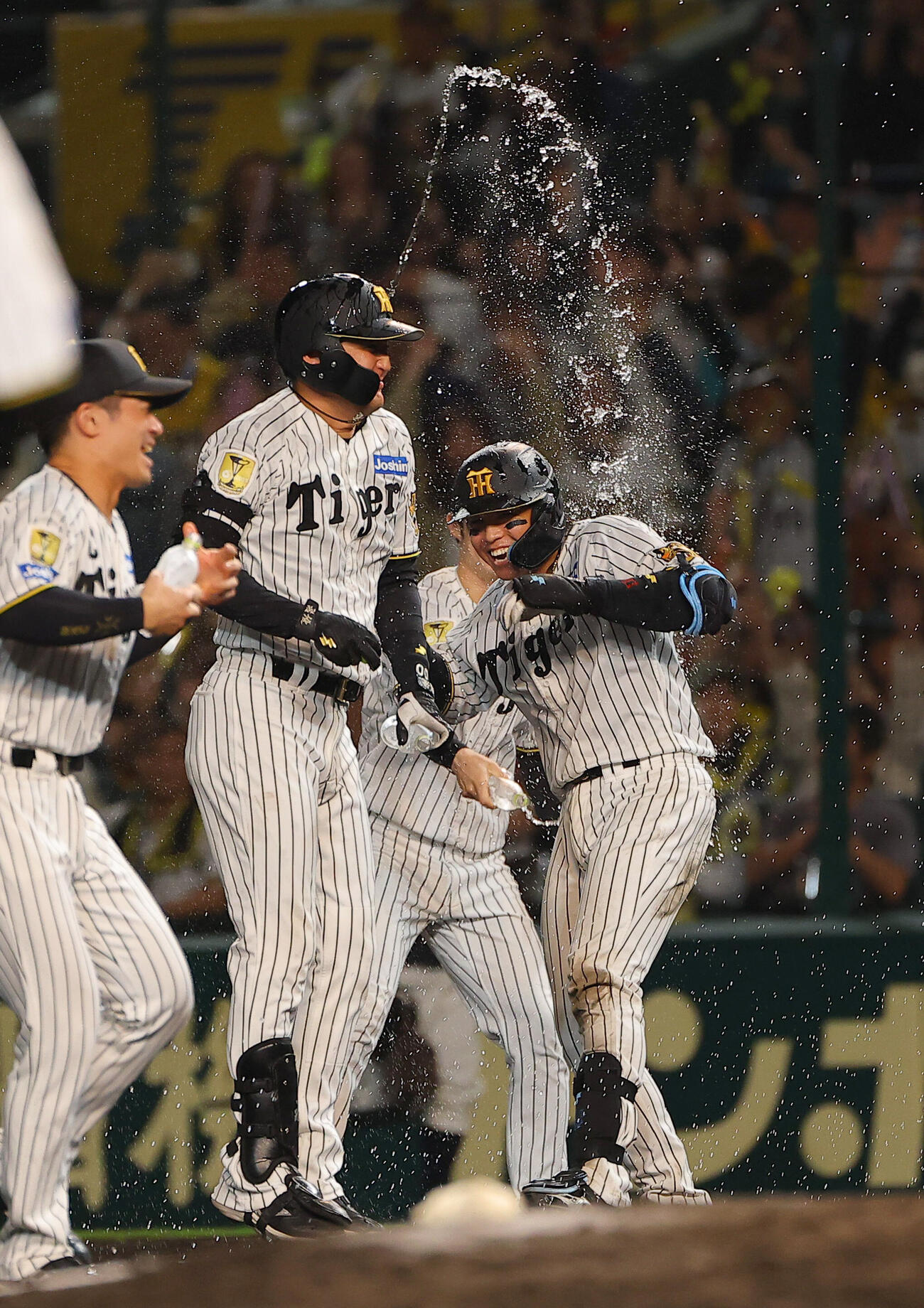 阪神対広島　11回裏阪神1死二、三塁、サヨナラ安打を放った梅野隆太郎（右）はウォーターシャワーを浴びる（撮影・上田博志）