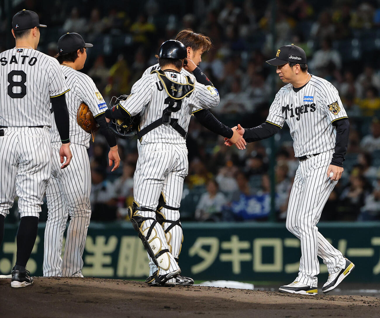 阪神対広島　藤川球児監督（右）は引退試合の登板を終えた西勇輝と握手を交わす（撮影・上田博志）